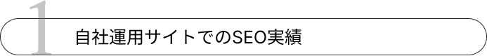 自社運用サイトでのSEO実績